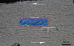 Cryptic crack-seals